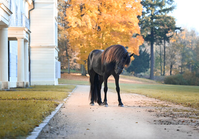 Pózování u jižní stěny zámku | © Eliška Vachalová