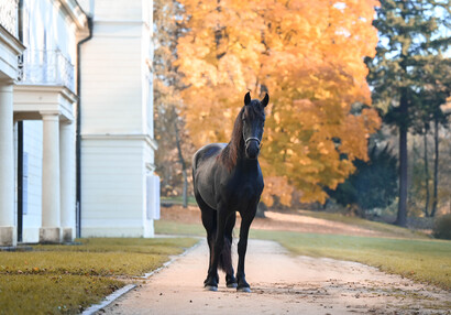 Pózování u jižní stěny zámku | © Eliška Vachalová