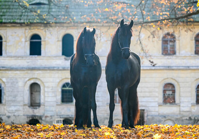 Pózování před pivovarem | © Eliška Vachalová