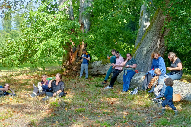 Úklid v parku | © Ondřej Cink Úklid v parku | © Ondřej Cink